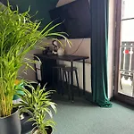 招待所 Dziki Szynk