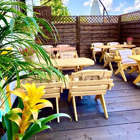 Dziki Szynk Konukevi