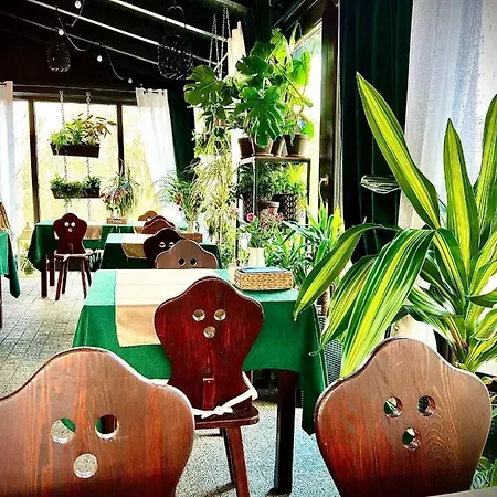 Dziki Szynk Konukevi Brenna