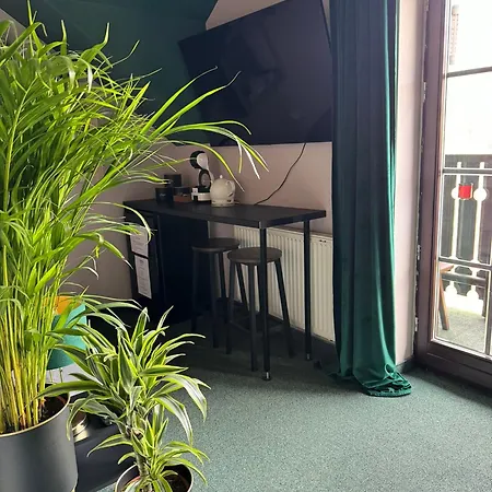 Pensjonat Dziki Szynk