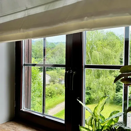 Dziki Szynk Konukevi 3*