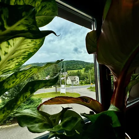 Dziki Szynk Pensión Brenna