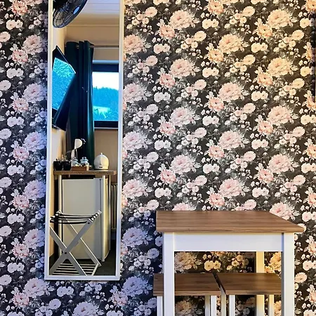 Dziki Szynk Guest house