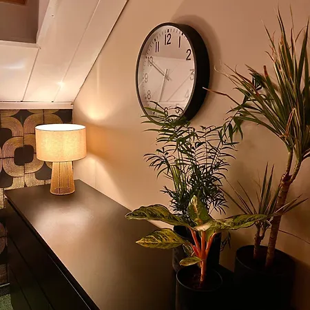 Dziki Szynk 3* Brenna