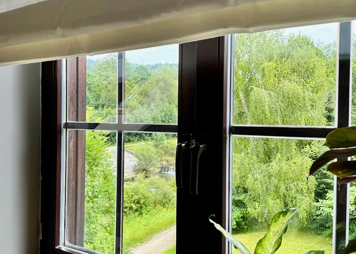 Dziki Szynk Penzion 3*