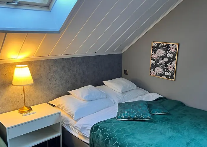 Penzion Dziki Szynk 3*