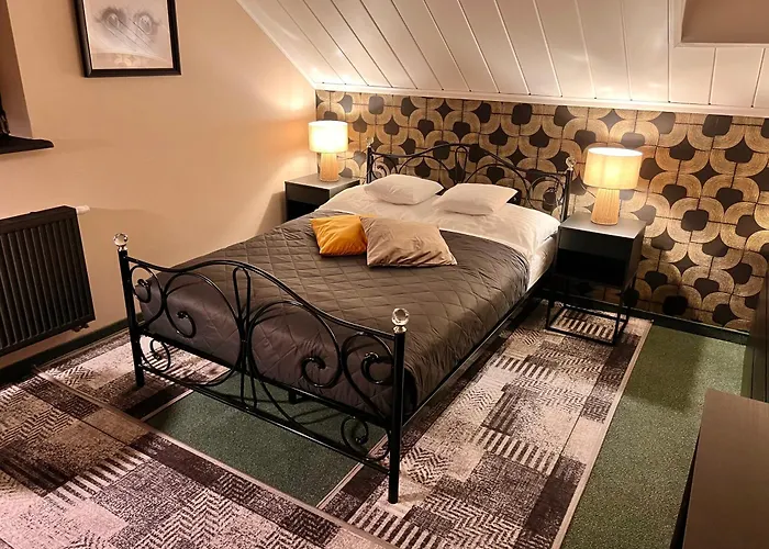 Casa de hóspedes Dziki Szynk 3*